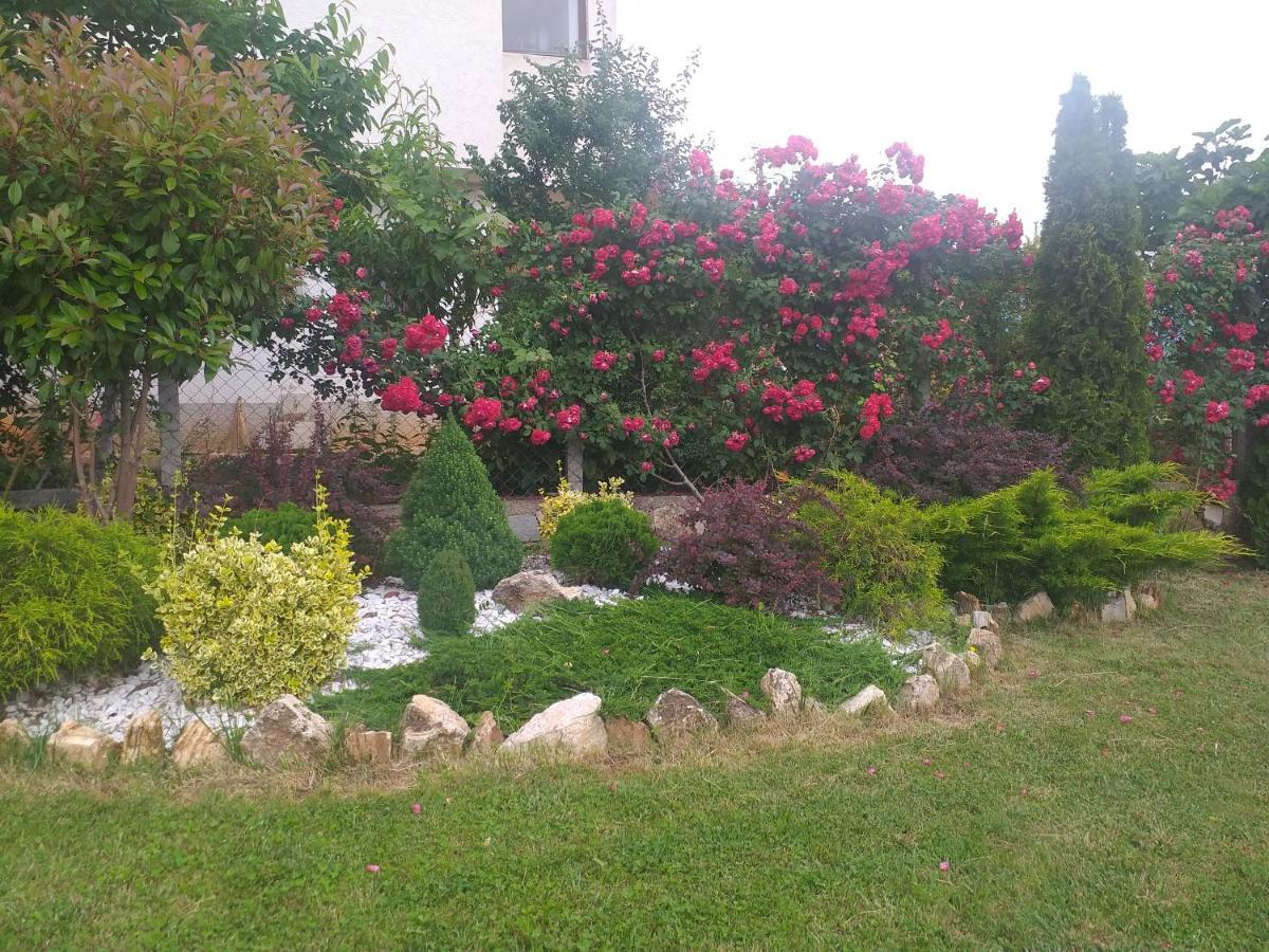 Villa Silva Охрид Екстер'єр фото