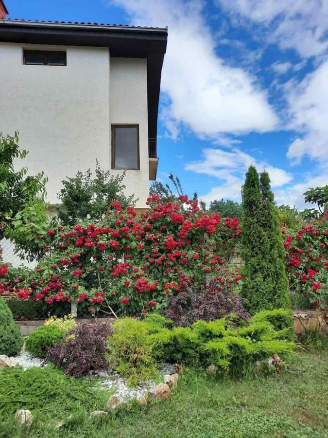 Villa Silva Охрид Екстер'єр фото